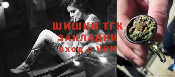 ешки Осинники
