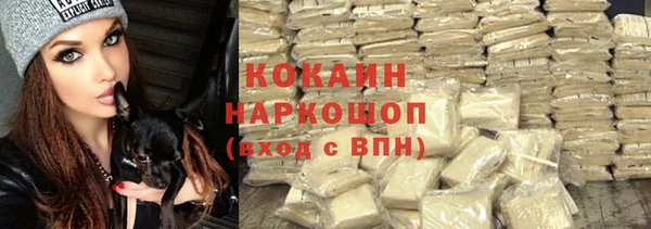 ешки Осинники