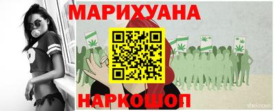 гашик Аргун