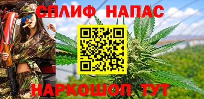 гашик Аргун