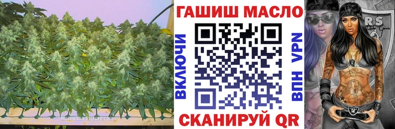 где найти   Белебей  ТГК концентрат 