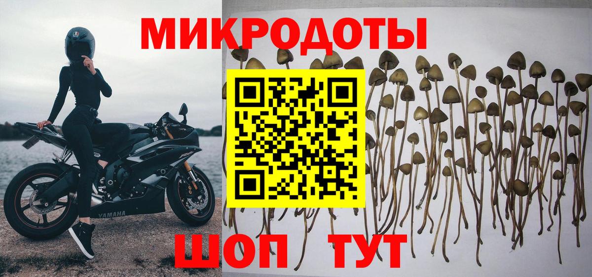 Галлюциногенные грибы прущие грибы Белебей