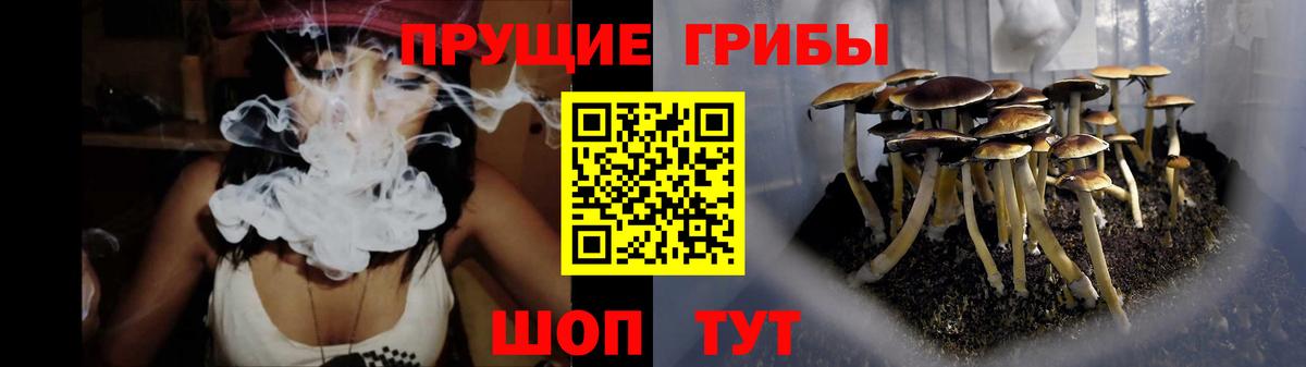 Псилоцибиновые грибы мицелий  Вход с VPN  сколько стоит  Белебей 